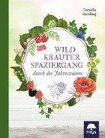 bokomslag Wildkräuterspaziergang durch die Jahreszeiten