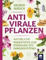 bokomslag Antivirale Pflanzen