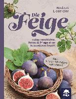 Die Feige 1