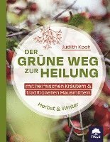 bokomslag Der grüne Weg zur Heilung