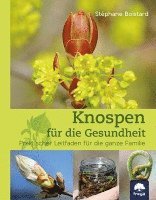 bokomslag Knospen für die Gesundheit