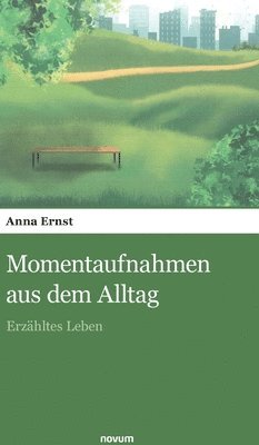 bokomslag Momentaufnahmen aus dem Alltag