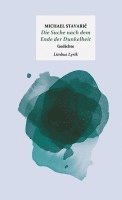 Michael Stavaric - Die Suche nach dem Ende der Dunkelheit, Inbunden