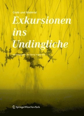 bokomslag Code und Material: Exkursionen ins Undingliche