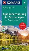 bokomslag Alpenüberquerung, Am Puls der Alpen