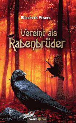 bokomslag Vereint als Rabenbrüder