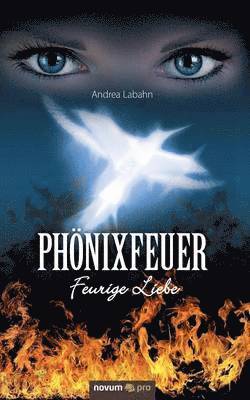 Phnixfeuer 1