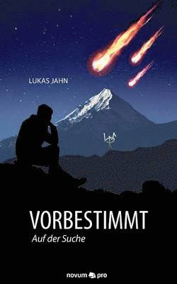 Lukas Jahn - Vorbestimmt, Häftad