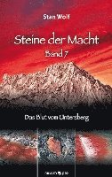 bokomslag Steine der Macht - Band 7