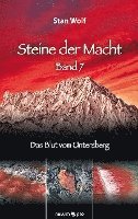 Stan Wolf - Steine der Macht - Band 7, Inbunden