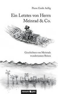 bokomslag Letztes von Herrn Meinrad & Co.
