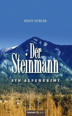 bokomslag Steinmann