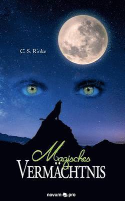 C S Rinke, C. S. Rinke - Magisches Vermächtnis, Häftad