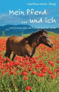 bokomslag Mein Pferd ... und ich