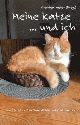 bokomslag Meine Katze ... und ich