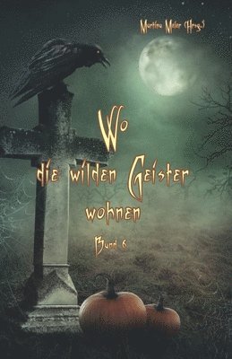 Wo die wilden Geister wohnen Band 6 1