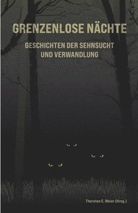 bokomslag Grenzenlose Nächte - Geschichten der Sehnsucht und Verwandlung
