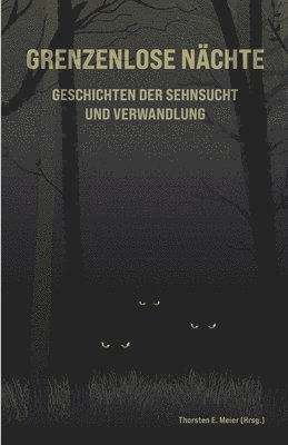 bokomslag Grenzenlose Nächte - Geschichten der Sehnsucht und Verwandlung