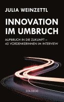 bokomslag Innovation im Umbruch