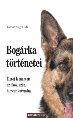 Bogrka trtnetei 1