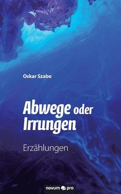 bokomslag Abwege oder Irrungen: Erzählungen