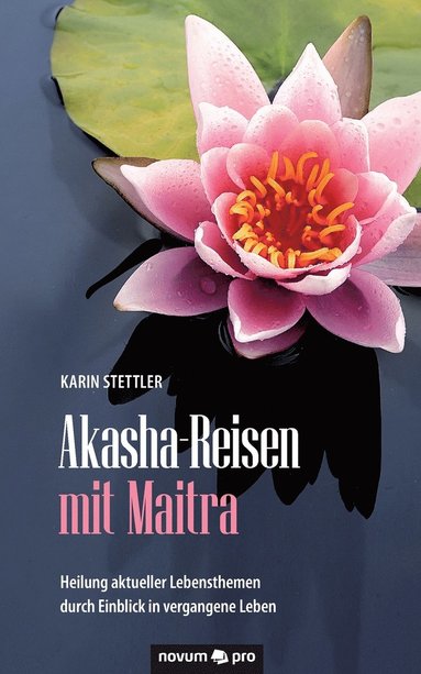 bokomslag Akasha-Reisen mit Maitra