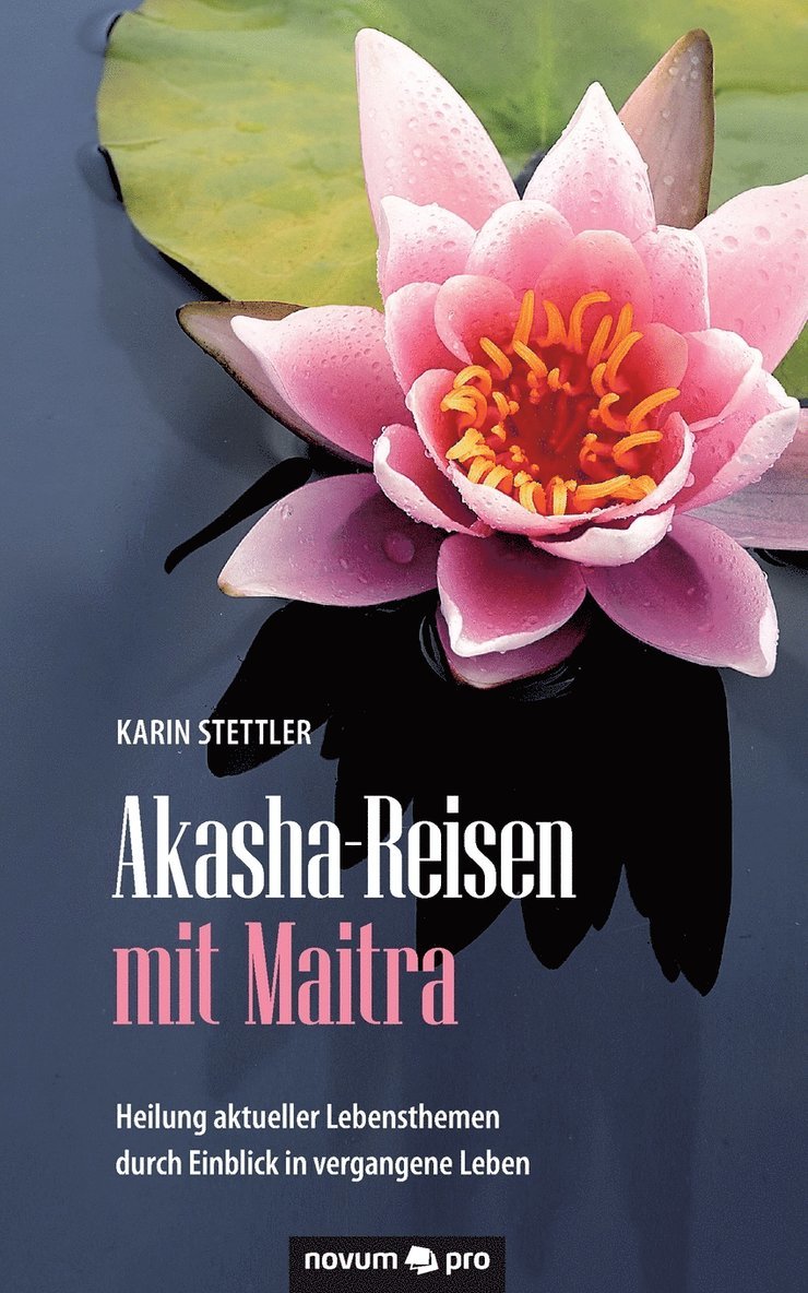 Karin Stettler - Akasha-Reisen mit Maitra, Häftad