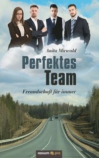 bokomslag Perfektes Team