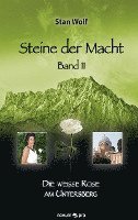 bokomslag Steine der Macht - Band 11