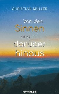 bokomslag Von den Sinnen und darüber hinaus