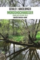 bokomslag Mordshochwasser