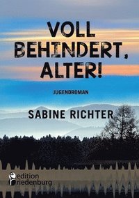 bokomslag Voll behindert, Alter!: Ein Sommer am A.... der Welt. Jugendroman - zufällig inklusiv