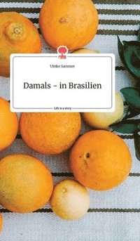 bokomslag Damals - in Brasilien. Life is a Story - story.one