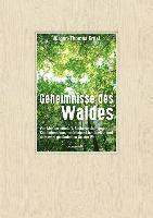 Jürgen-Thomas Ernst - Geheimnisse des Waldes, Inbunden