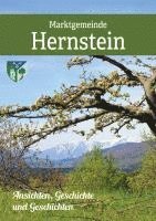 Reinhold Simon - Gemeinde Hernstein in historischen Ansichten, Inbunden