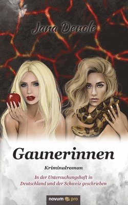 bokomslag Gaunerinnen