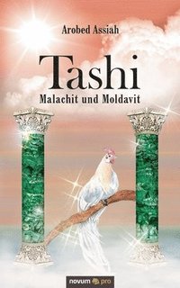 bokomslag Tashi - Malachit und Moldavit