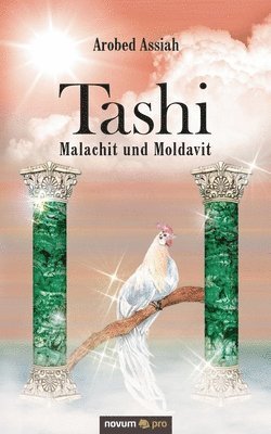 Tashi - Malachit und Moldavit 1