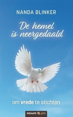 bokomslag De hemel is neergedaald