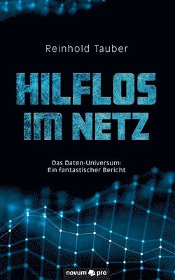 bokomslag Hilflos im Netz