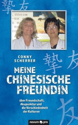 bokomslag Meine chinesische Freundin