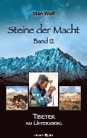 bokomslag Steine der Macht - Band 12