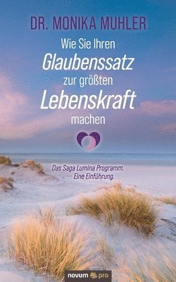 bokomslag Wie Sie Ihren Glaubenssatz zur groessten Lebenskraft machen