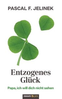 bokomslag Entzogenes Glück