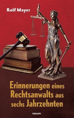 bokomslag Erinnerungen eines Rechtsanwalts aus sechs Jahrzehnten