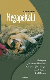 bokomslag MegapeKaLi