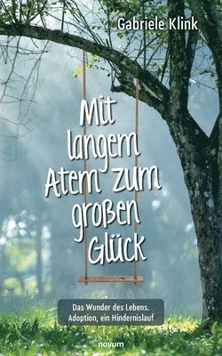 bokomslag Mit langem Atem zum grossen Gluck