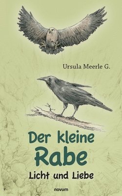 bokomslag kleine Rabe