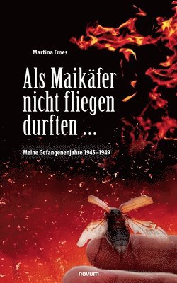 bokomslag Als Maikäfer nicht fliegen durften ...