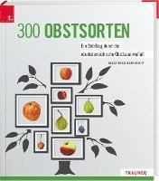 bokomslag 300 Obstsorten